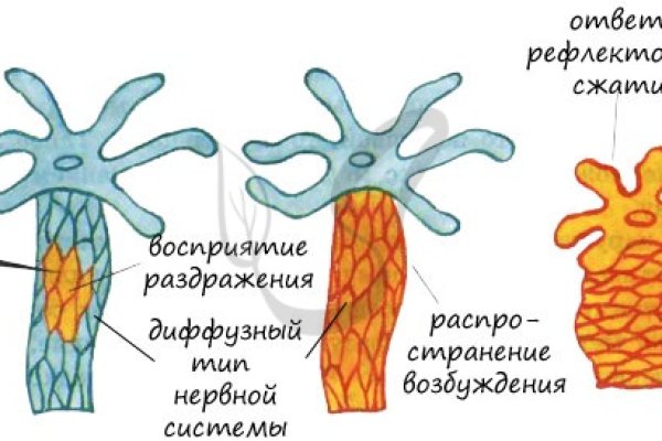 Даркнет каталог