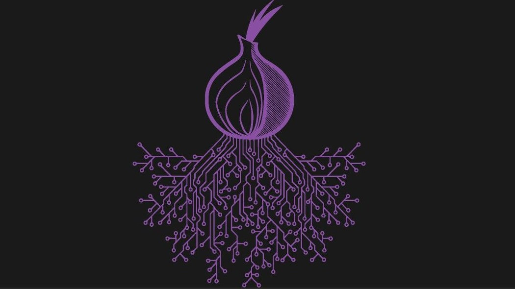 Kraken 13at