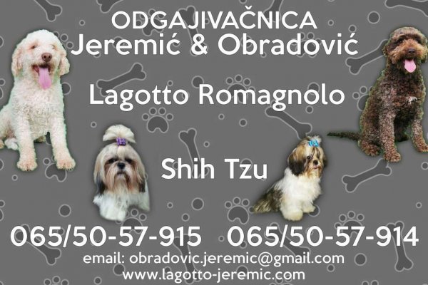 Кракен короткая ссылка