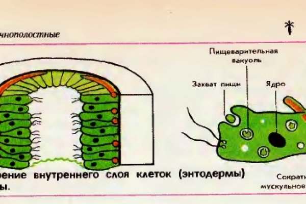 Кракен что можно купить