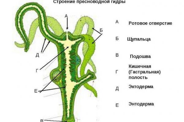 Кракен актуальные