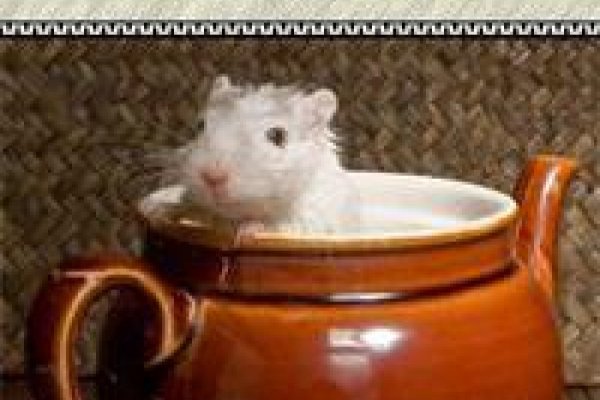 Кракен маркет даркнет только через тор