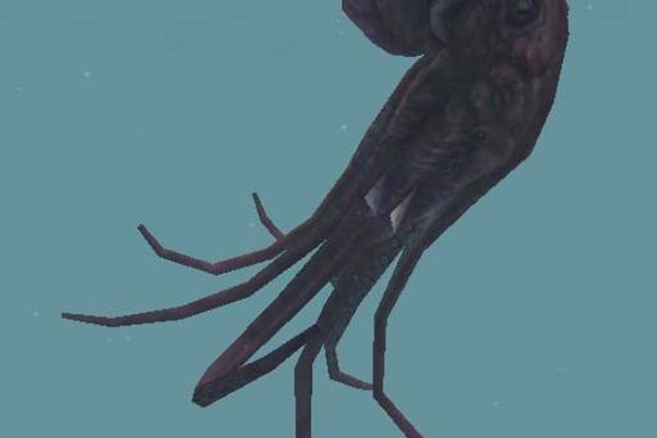 Ссылка на кракен тор kr2web in